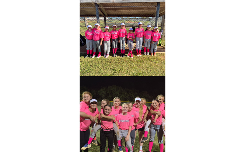 Join the Movement SCLL Softball is rising!