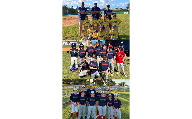 From Tee Ball to the Big Leagues it starts here 